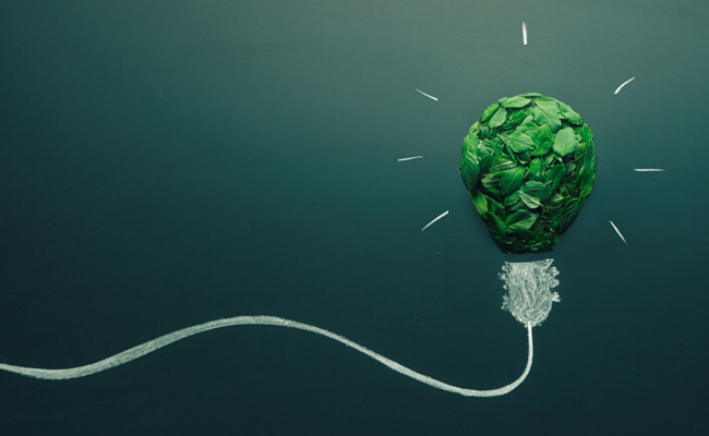 Eco-Friendly UI/UX Trends: Crafting a Sustainable Digital Future