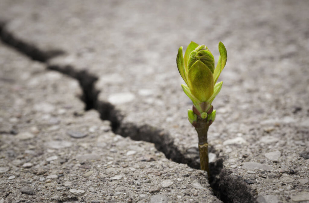 Ready to Expand? Emerging Markets Offer Endless Growth Possibilities