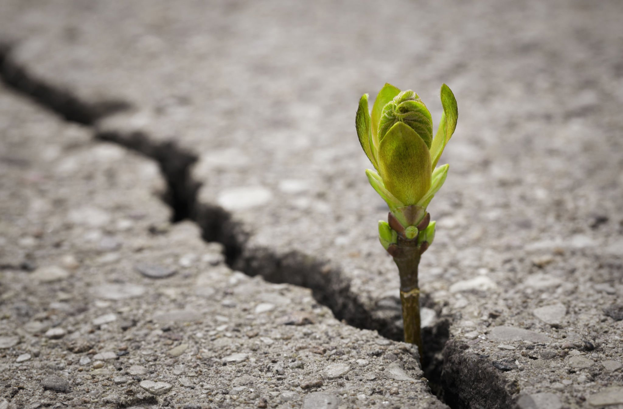 Ready to Expand? Emerging Markets Offer Endless Growth Possibilities